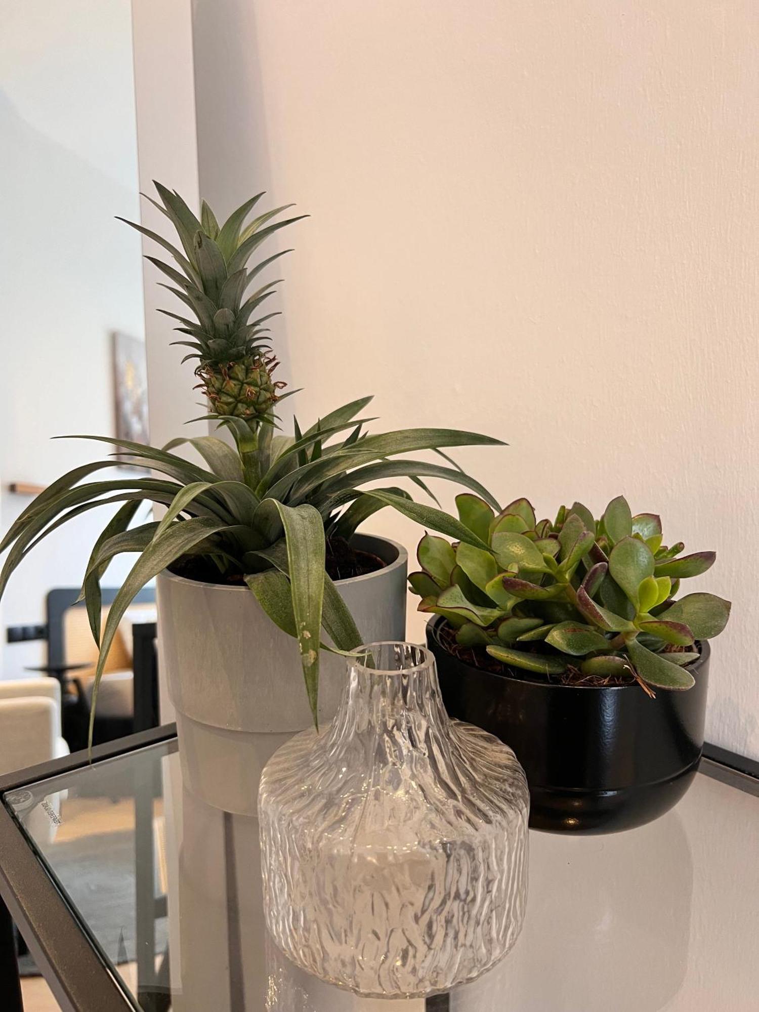 Modern Stay I Cosy & Central Apartments Кобленц Екстериор снимка